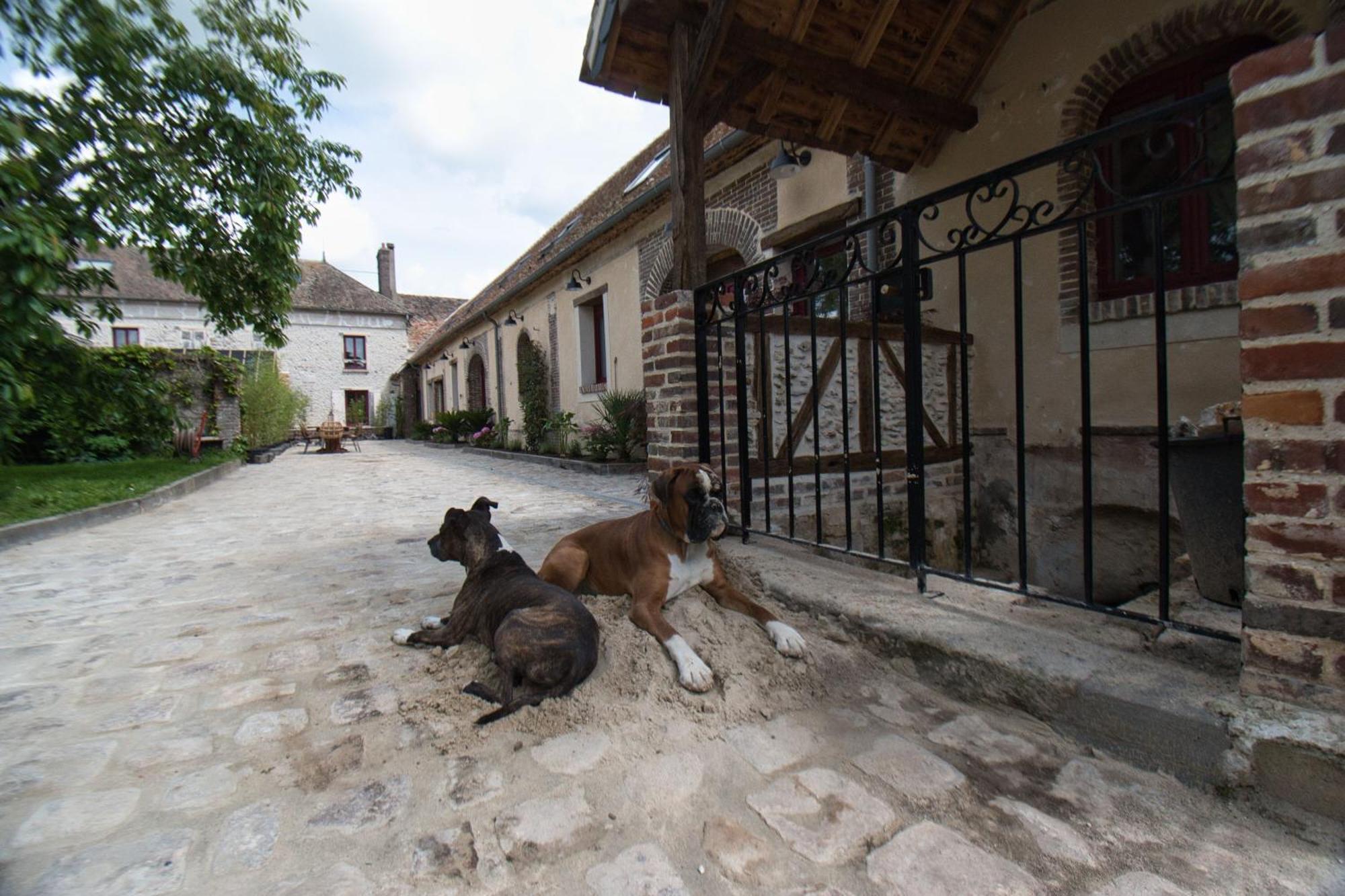 Le Relais Des Caleches - La Chaleureuse Bed & Breakfast Bu (Eure-et-Loir) Exterior photo